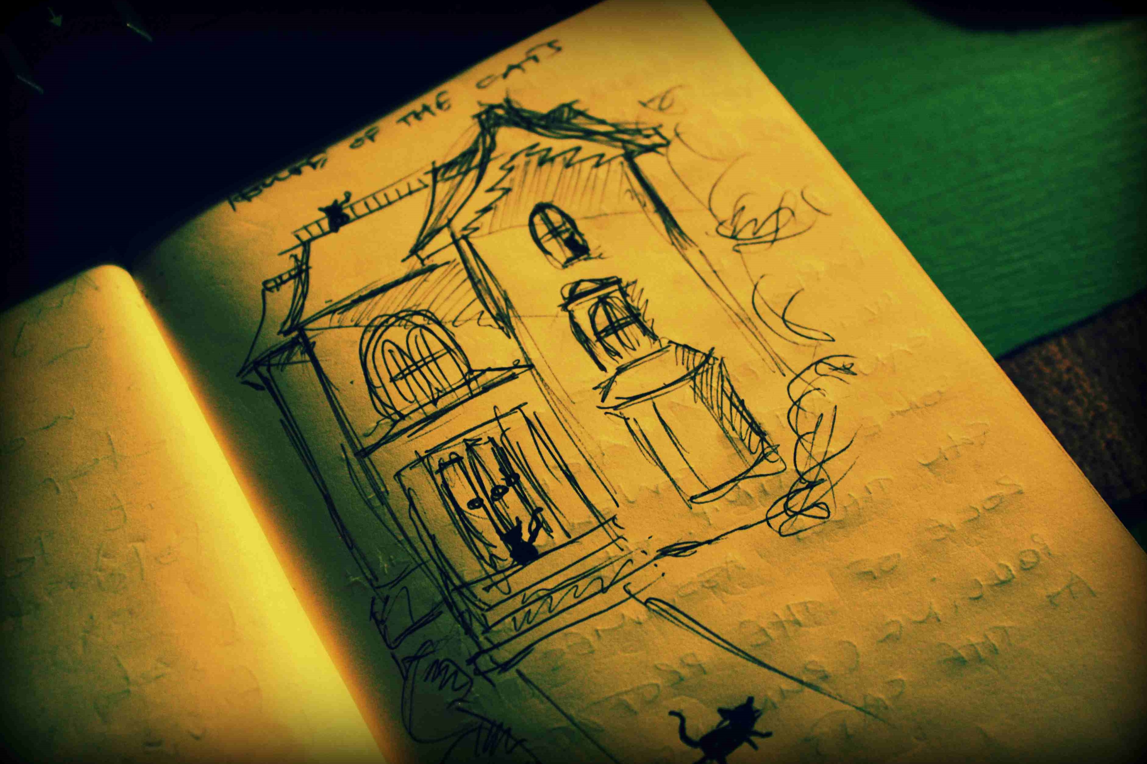 Sketch of the house where the cats live